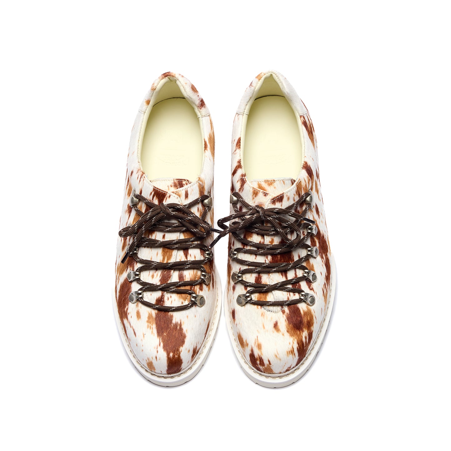 CRICLE CAGE x LC23 MOUNTAIN DERBY - PINTO